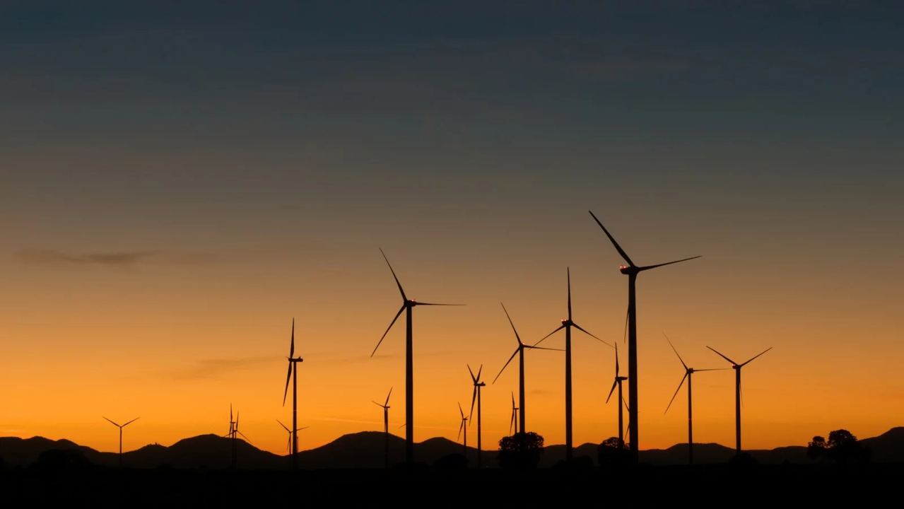 Medio Ambiente