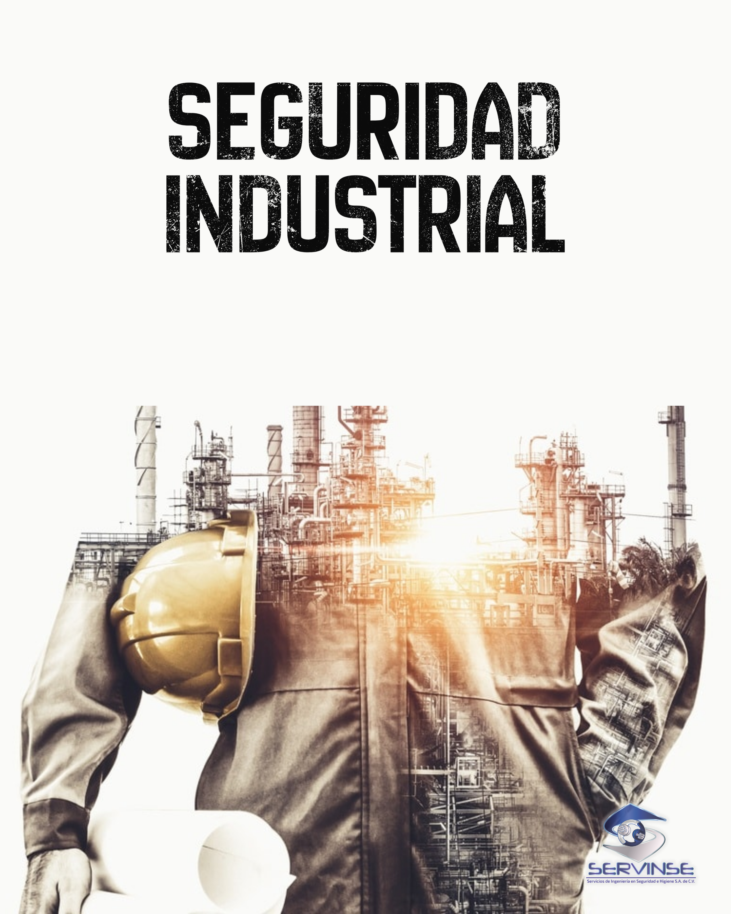 SEGURIDAD INDUSTRIAL 9 hrs.