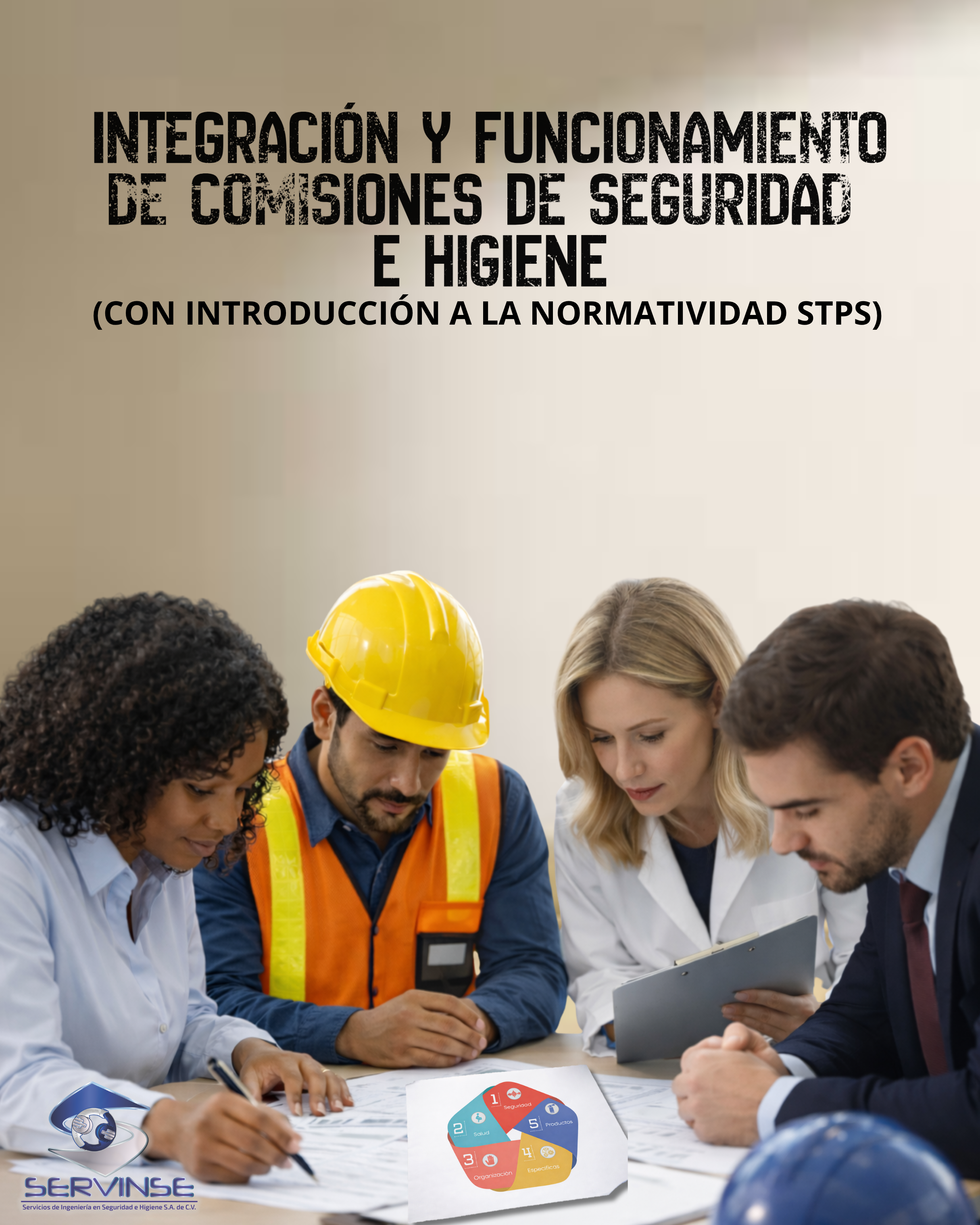 INTEGRACIÓN Y FUNCIONAMIENTO DE COMISIONES DE SEGURIDAD E HIGIENE (Con introducción a la Normatividad STPS)