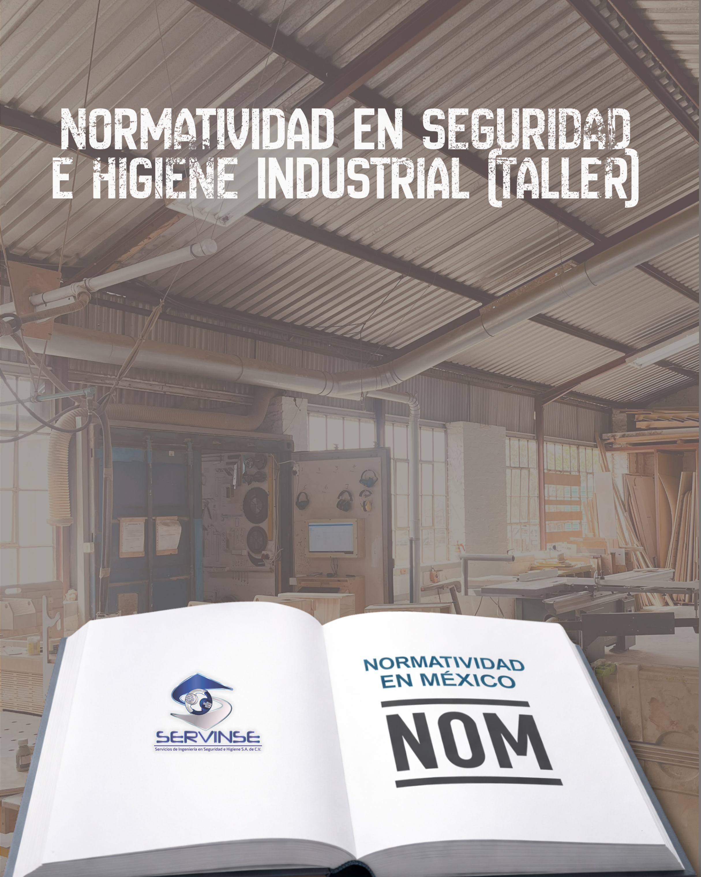 NORMATIVIDAD EN SEGURIDAD E HIGIENE INDUSTRIAL (Taller) 