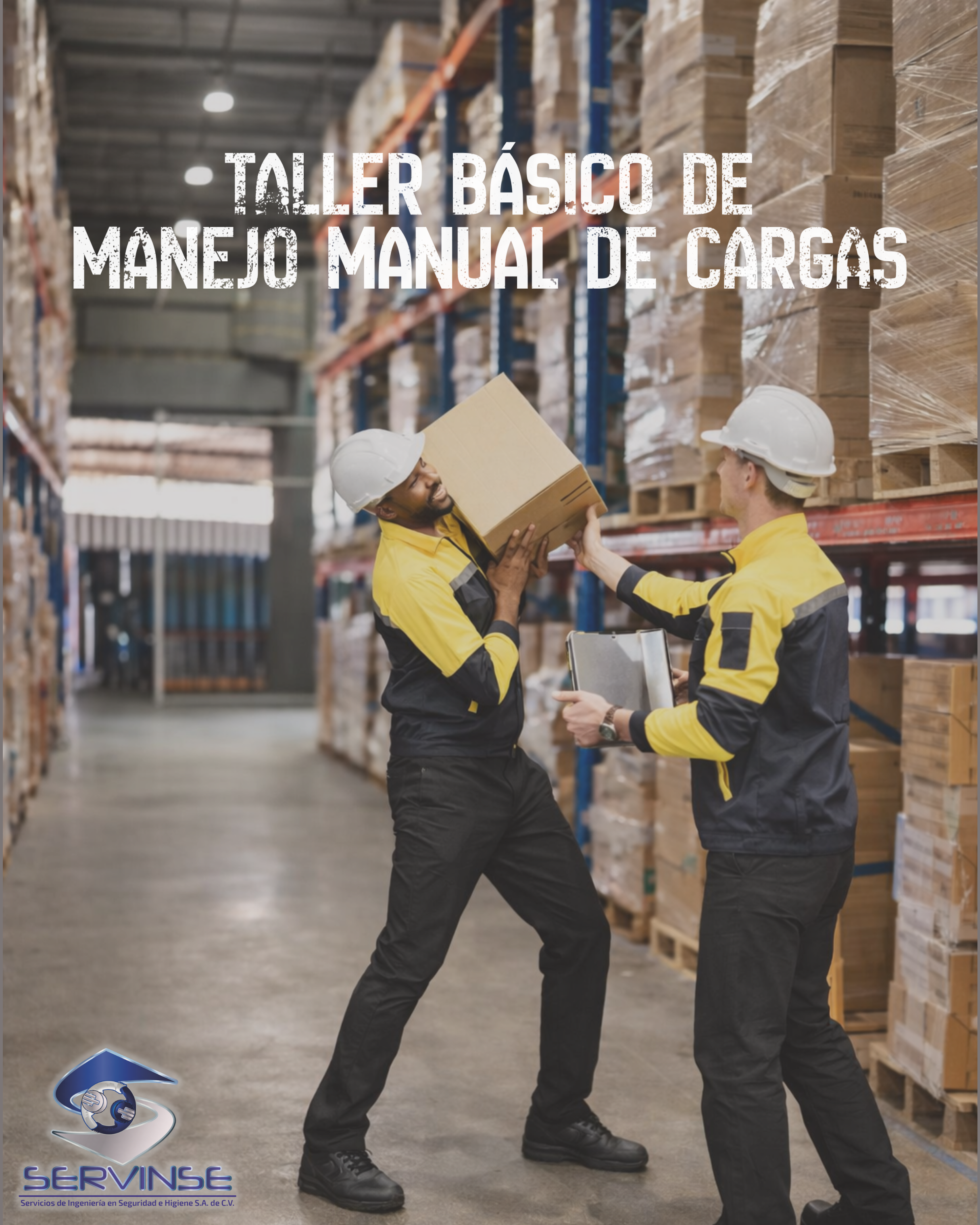 TALLER BÁSICO DE MANEJO MANUAL DE CARGAS