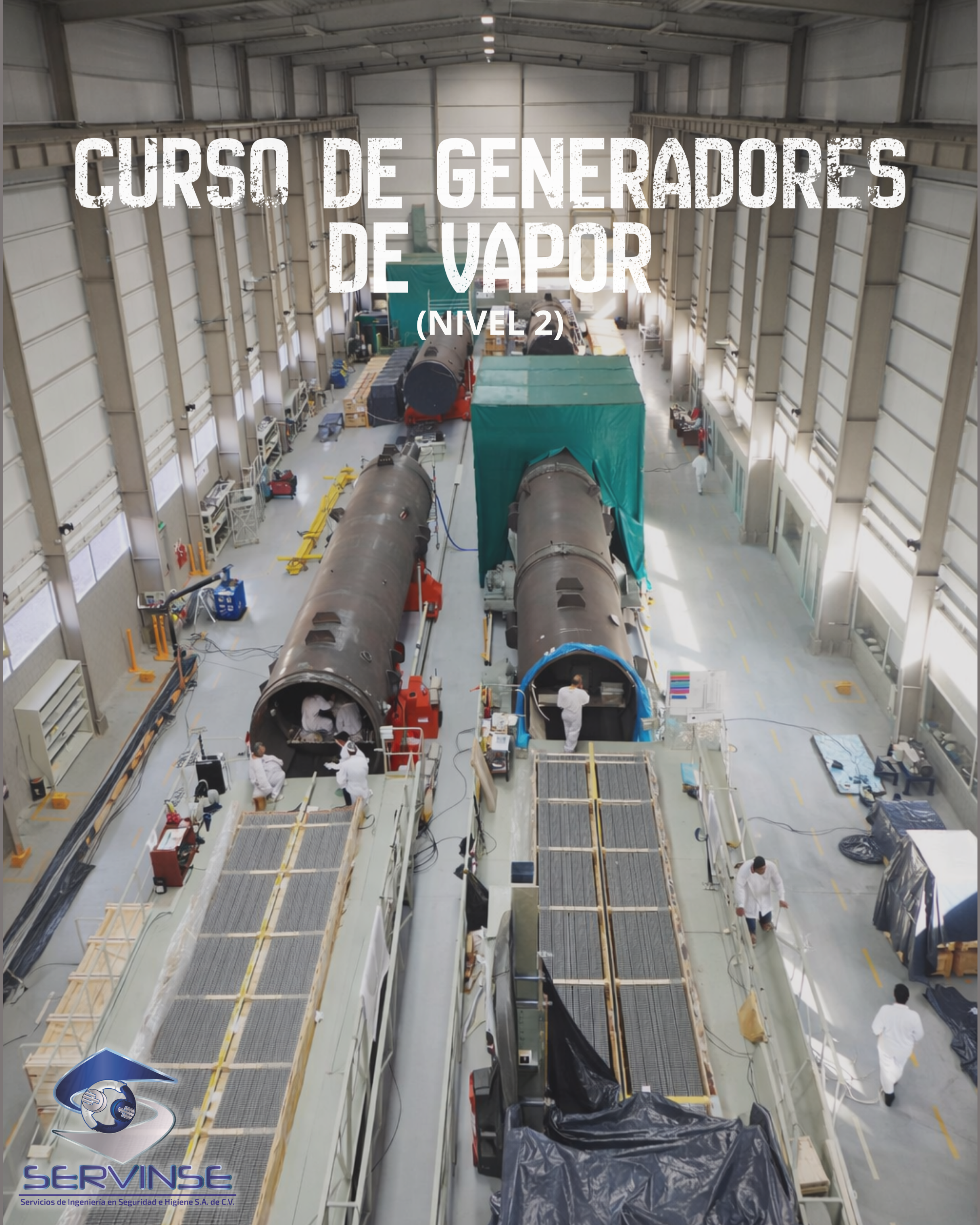 CURSO DE GENERADORES DE VAPOR (Nivel 2)