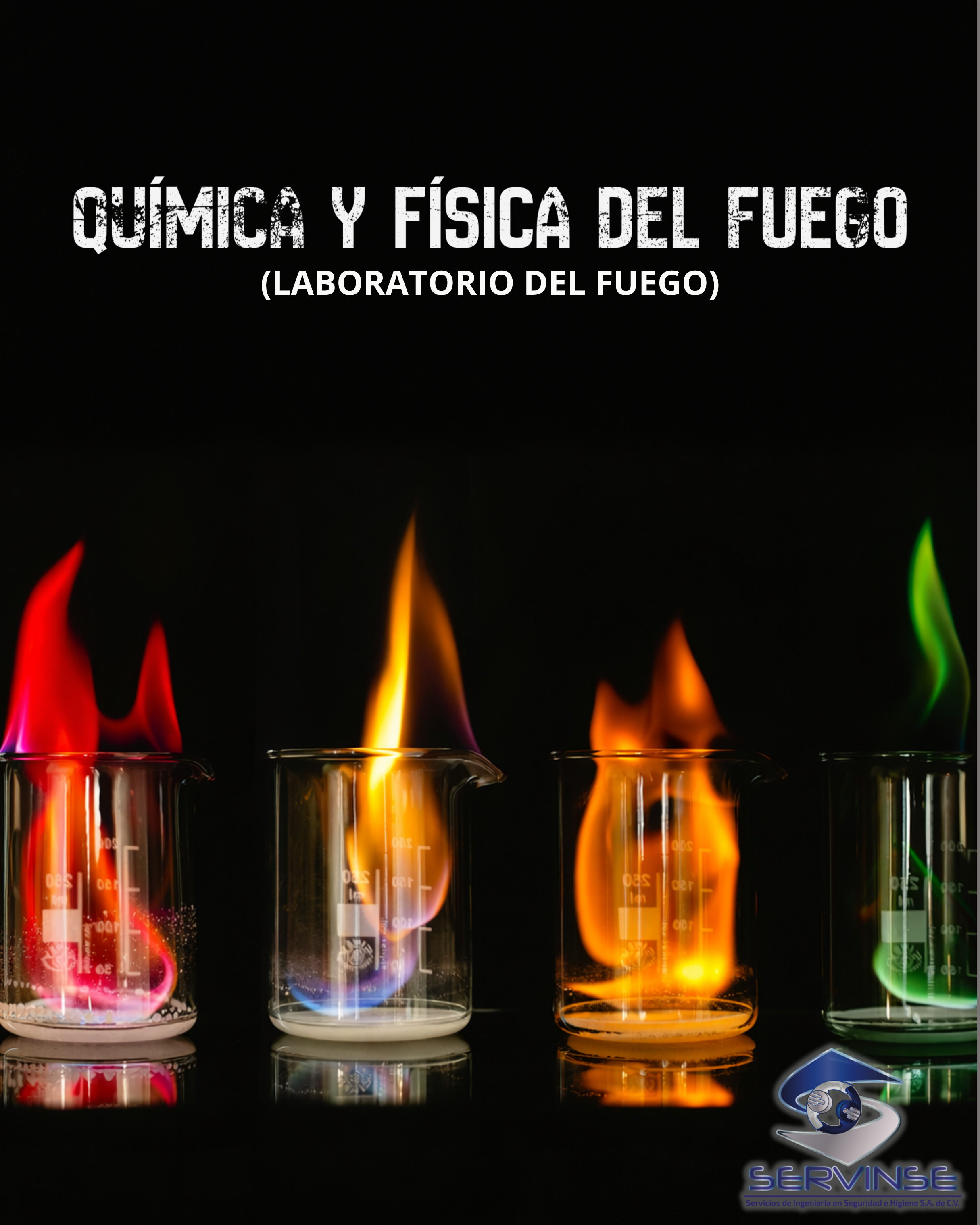 QUÍMICA Y FISICA DEL FUEGO (Laboratorio del fuego)