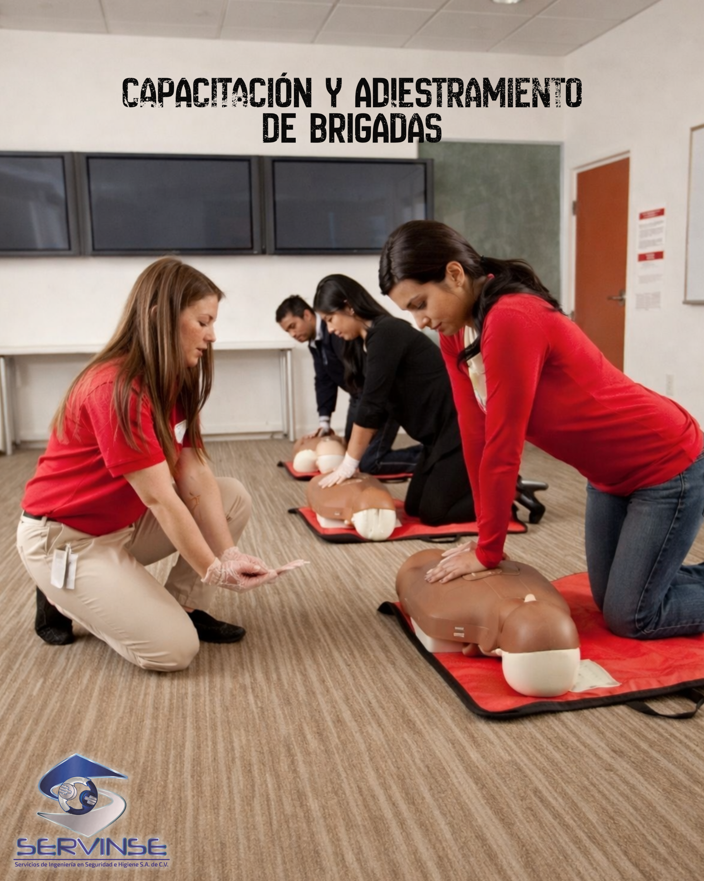CAPACITACIÓN Y ADIESTRAMIENTO DE BRIGADAS