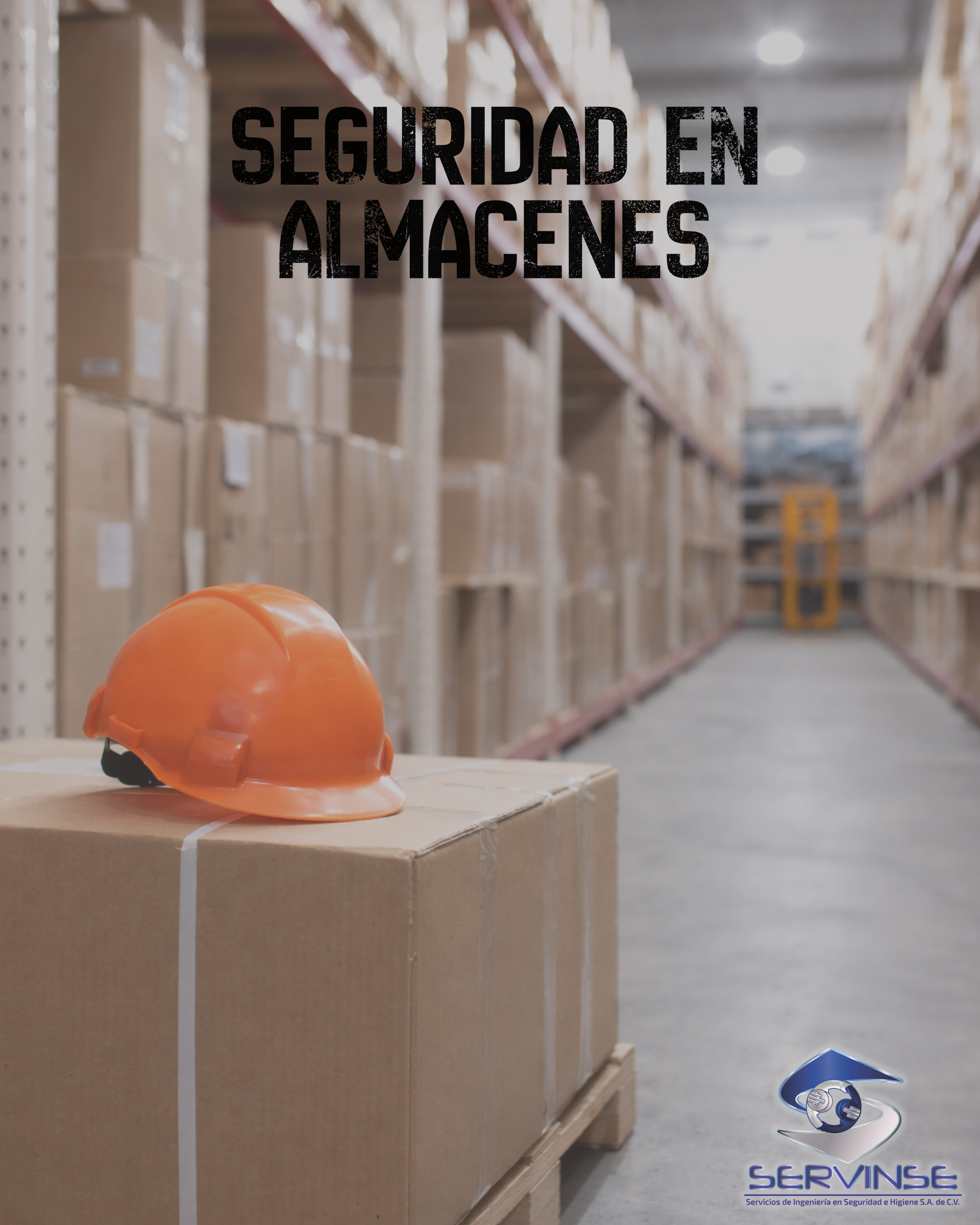 SEGURIDAD EN ALMACENES- 6 hrs.
