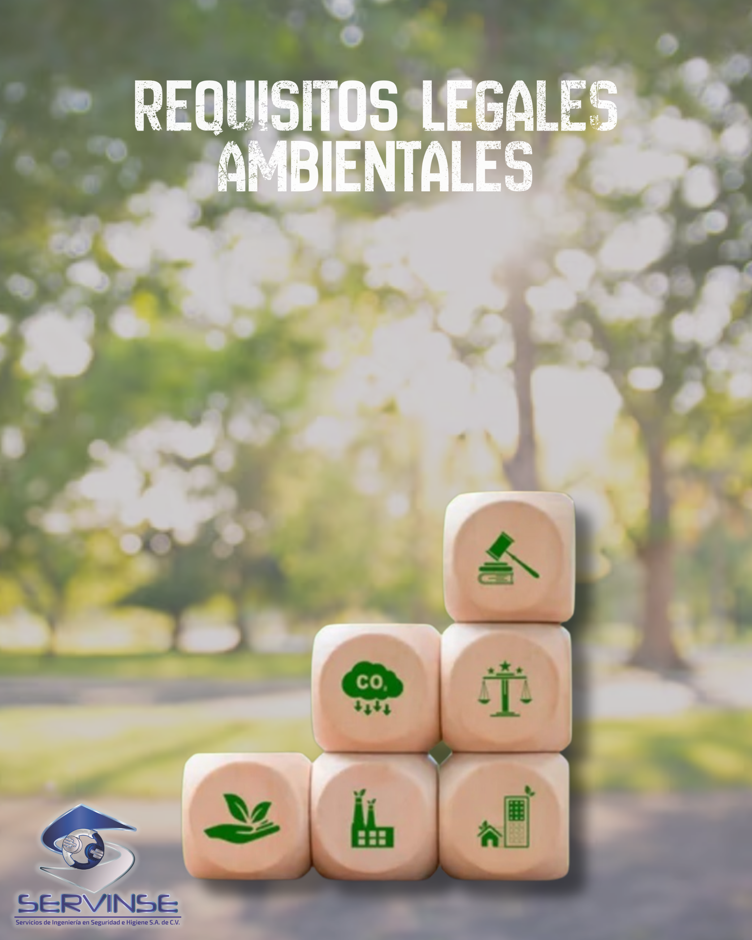 REQUISITOS LEGALES AMBIENTALES- 8 hrs.