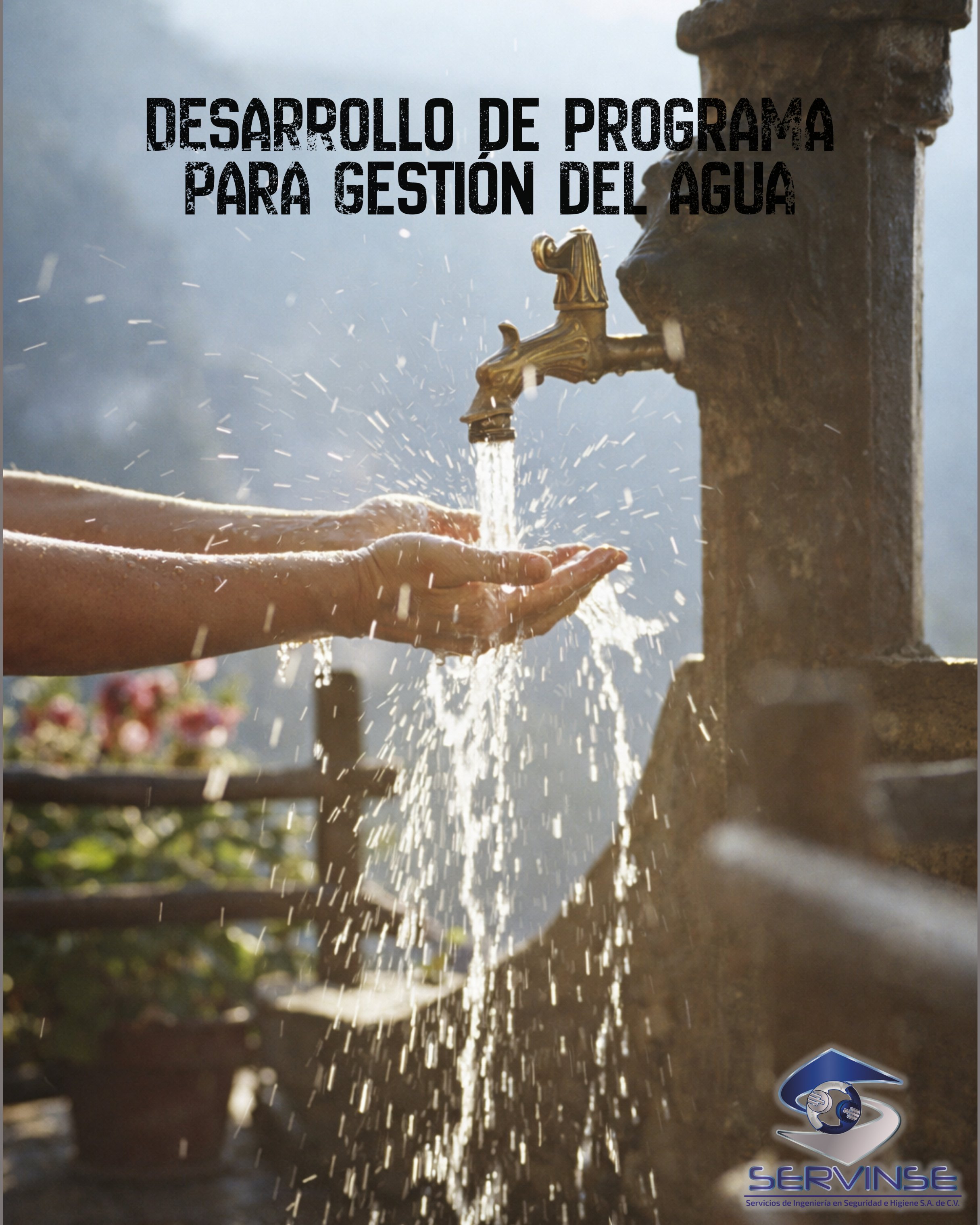DESARROLLO DE PROGRAMA PARA GESTIÓN DEL AGUA- 6 hrs.